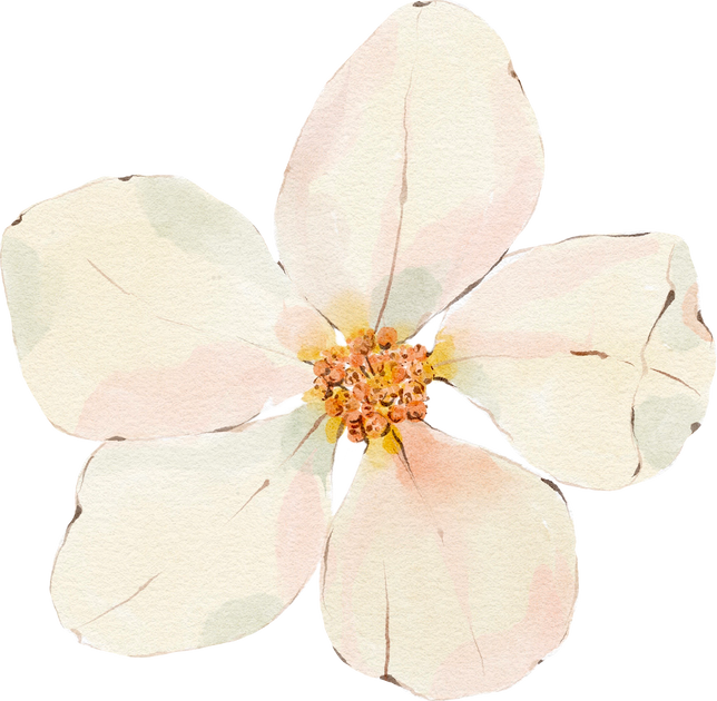 Watercolor white flower