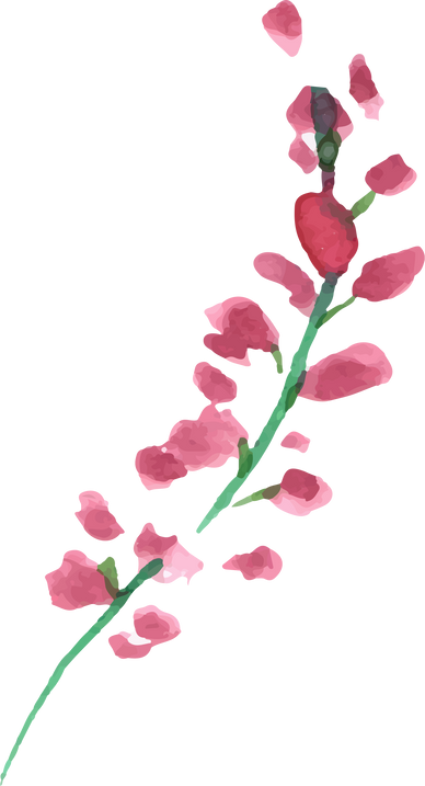 Watercolor Flower Plant Illustration